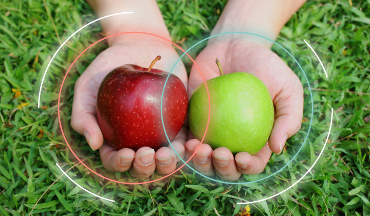 red_and_green_apple.jpg
