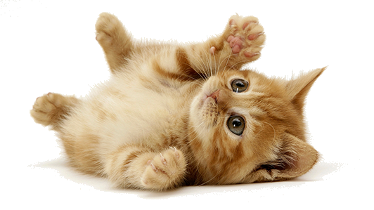 test alt text